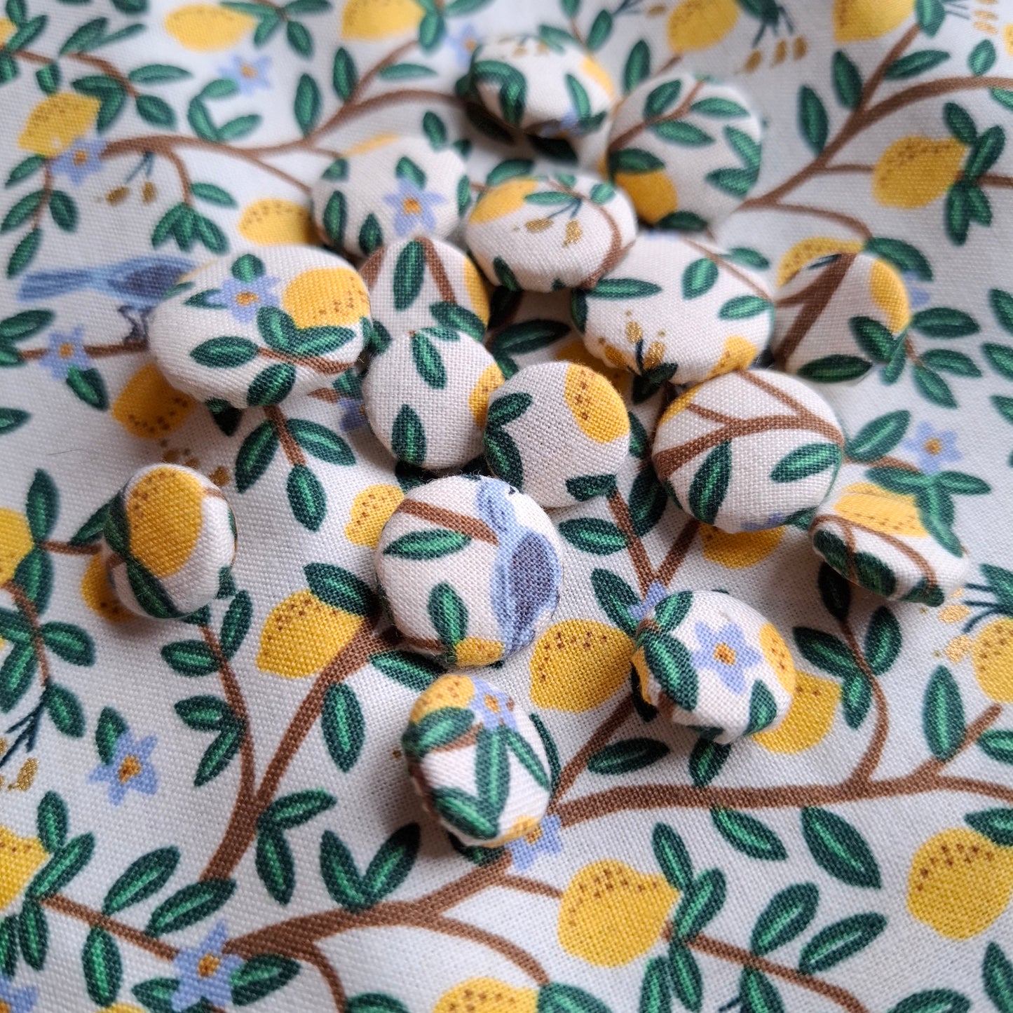 Boutons Lemon