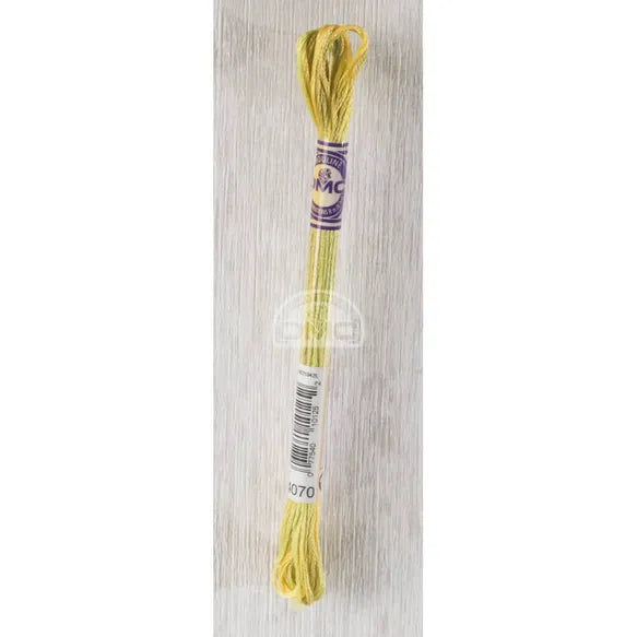 Fil mouliné degradé Variation