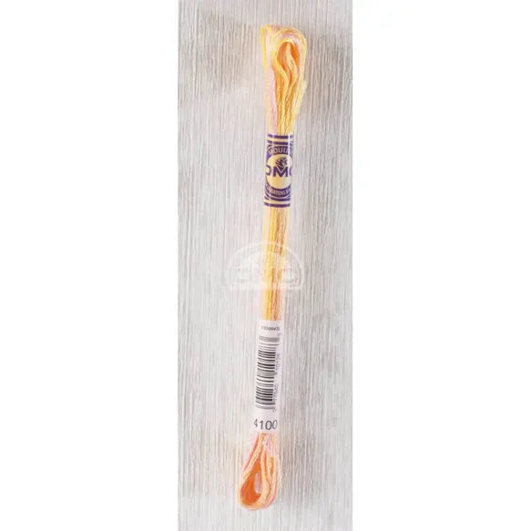 Fil mouliné degradé Variation